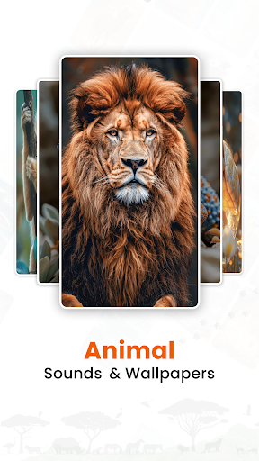 Sonidos y fondos de pantalla de animales